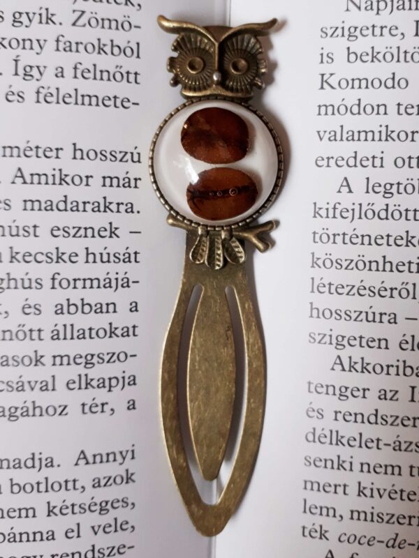 Baglyos könyvjelző kávészemekkel, bronz színű alapon